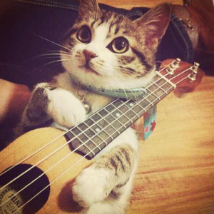 小舞婬荡的玉腿翘起漫画
