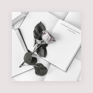 小舞婬荡的玉腿翘起漫画
